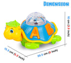 3D Turtle