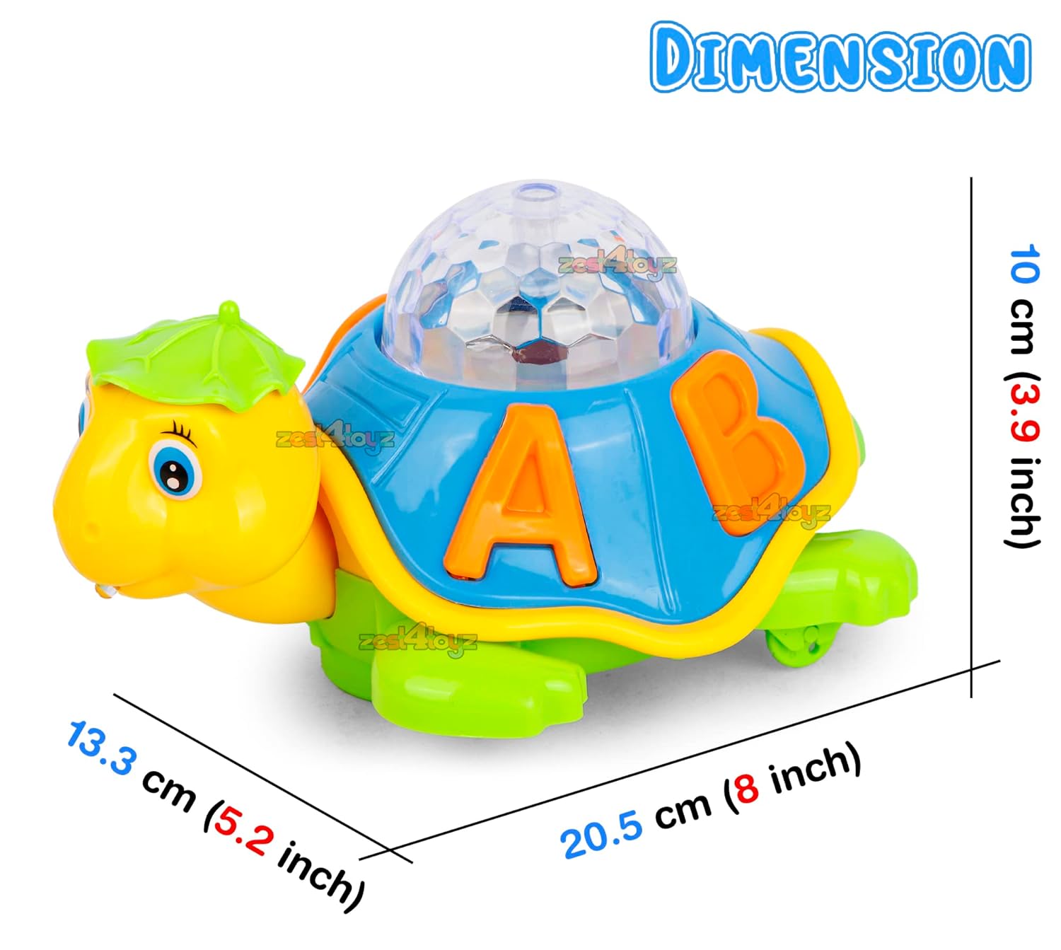 3D Turtle