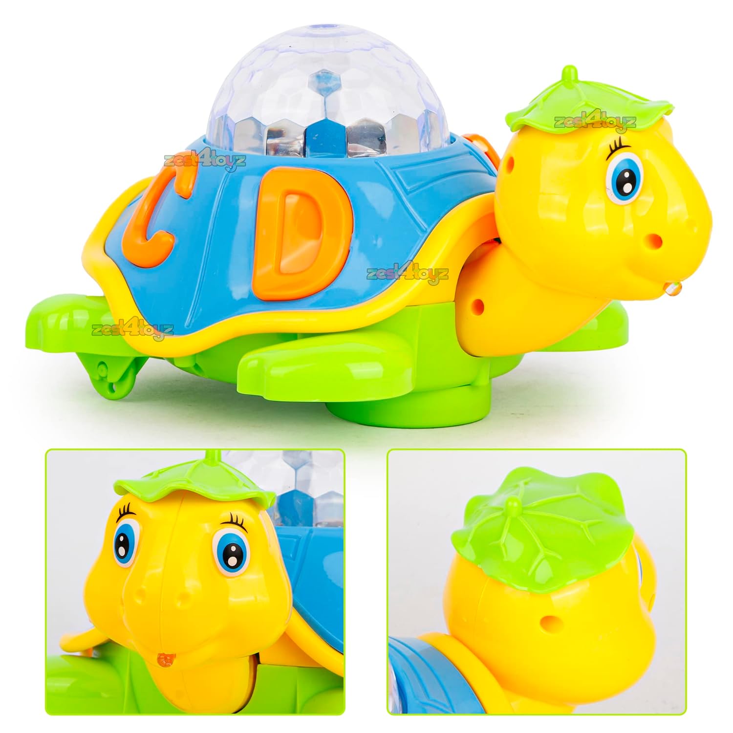 3D Turtle