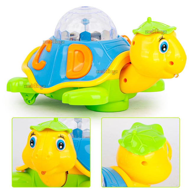 3D Turtle Main Image
