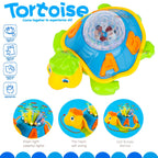 3D Turtle