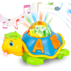 3D Turtle