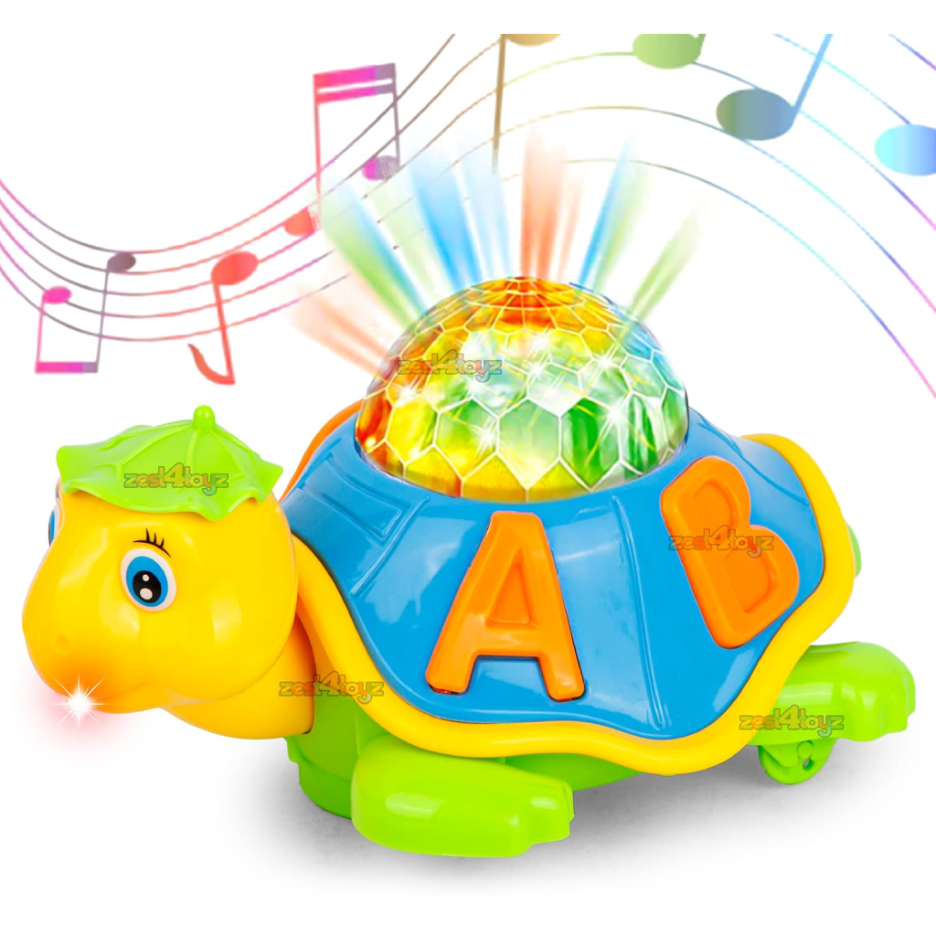 3D Turtle