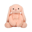 Mirada Cute Peach Bunny Soft Toy for GirlsKids  Huggable Rabbit with Long Ears  Soft Stuffed Plush Animal  Cute Soft Toys, Baby Toys, Stuffed Animals, Cuddle Toy, Gift Item for Kids - 35cm